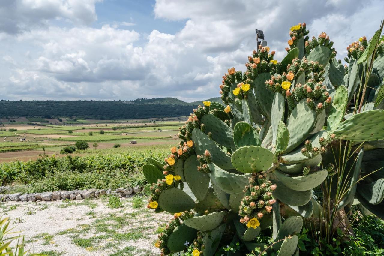 Bed and Breakfast Dimora Rutica Selva Di Fasano Zewnętrze zdjęcie